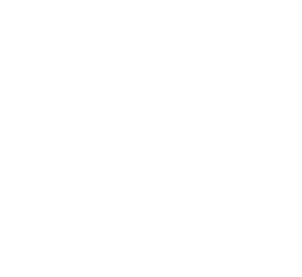 Skalmarkas logotipas baltas
